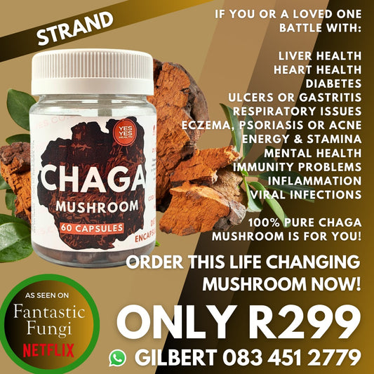 Changa Mushrooms 60 Veggicaps