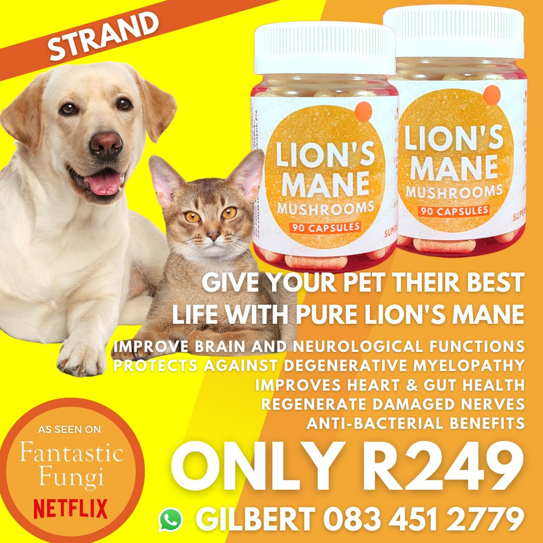 Lions Main for Pets