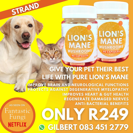 Lions Main for Pets